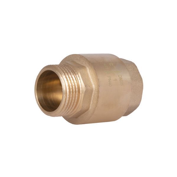Обратний клапан Thermo Alliance Standart 1"ВН с латунным штоком TAS248W25 SD00053369 фото