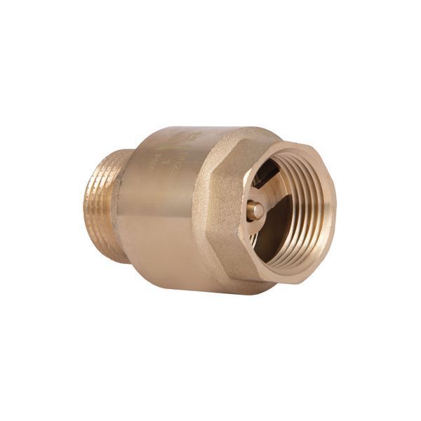 Обратний клапан Thermo Alliance Standart 1"ВН с латунным штоком TAS248W25 SD00053369 фото