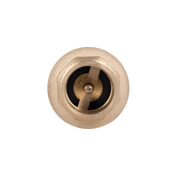 Обратний клапан Thermo Alliance Standart 1"ВН с латунным штоком TAS248W25 SD00053369 фото