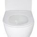 Комплект Grohe Set Унітаз ELLIPSE-0301-T3 система змиву TORNADO 3.0 + Інсталяція Grohe Rapid SL 38536001 + панель змиву 38732000 (38536001ELLIPS0301T3) 38536001ELLIPS0301T3 фото 12
