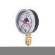 Термоманометр Thermo Alliance Standart 80 мм 1/2", нижнее подключение SD1726B SD00021361 фото 3