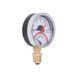 Термоманометр Thermo Alliance Standart 80 мм 1/2", нижнее подключение SD1726B SD00021361 фото 4