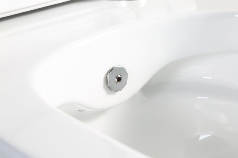 Унитаз-биде подвесной Mixxus Premium ELLIPSE-1301-R 500x365x350mm система смыва RIMLESS (MP6659) MP6659 фото