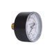 Манометр Thermo Alliance Standart 6 бар 1/4" , заднее подключение SD1716B SD00021359 фото 3
