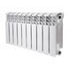 Радіатор біметалічний Thermo Alliance Bi-Ferrum 300/100 SD00052841 фото 1