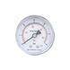 Манометр Thermo Alliance Standart 6 бар 1/4" , заднее подключение SD1716B SD00021359 фото 1