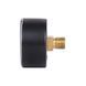 Манометр Thermo Alliance Standart 6 бар 1/4" , заднее подключение SD1716B SD00021359 фото 5