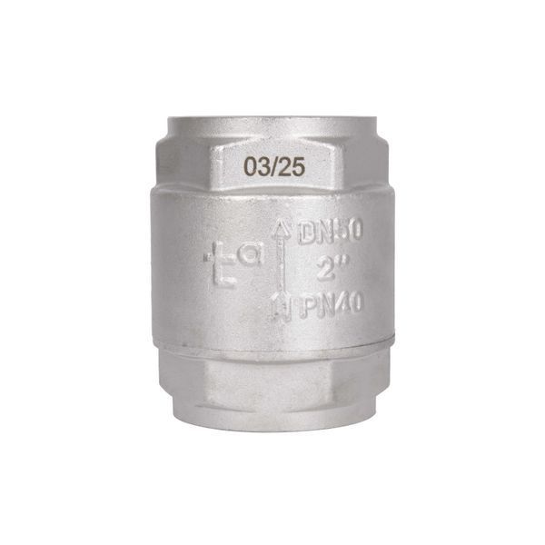 Обратный клапан с латунным штоком Thermo Alliance Forte 2"ВВ никель TAF240W50 SD00053356 фото