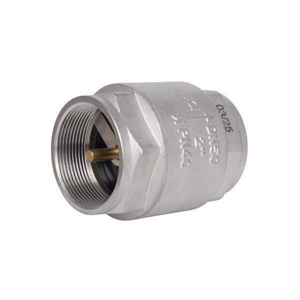 Обратный клапан с латунным штоком Thermo Alliance Forte 2"ВВ никель TAF240W50 SD00053356 фото