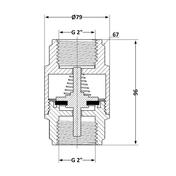 Обратный клапан с латунным штоком Thermo Alliance Forte 2"ВВ никель TAF240W50 SD00053356 фото