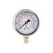 Манометр с глицерином Thermo Alliance Forte 6 бар, 1/4"Н, нижнее подключение TAF170G6B SD00053544 фото 11