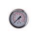 Манометр с глицерином Thermo Alliance Forte 6 бар, 1/4"Н, заднее подключение TAF171G6B SD00053546 фото 1