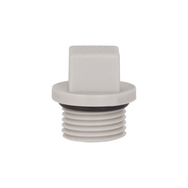 Заглушка PPR Thermo Alliance с резьбой 20х1/2" НР SD00053986 фото