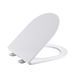 Сиденье для унитаза Qtap (Taurus 520) 455x365x38 мм, White, с микролифтом, Slim Duroplast, Quick Release QTSC179W49384 SD00055508 фото 1
